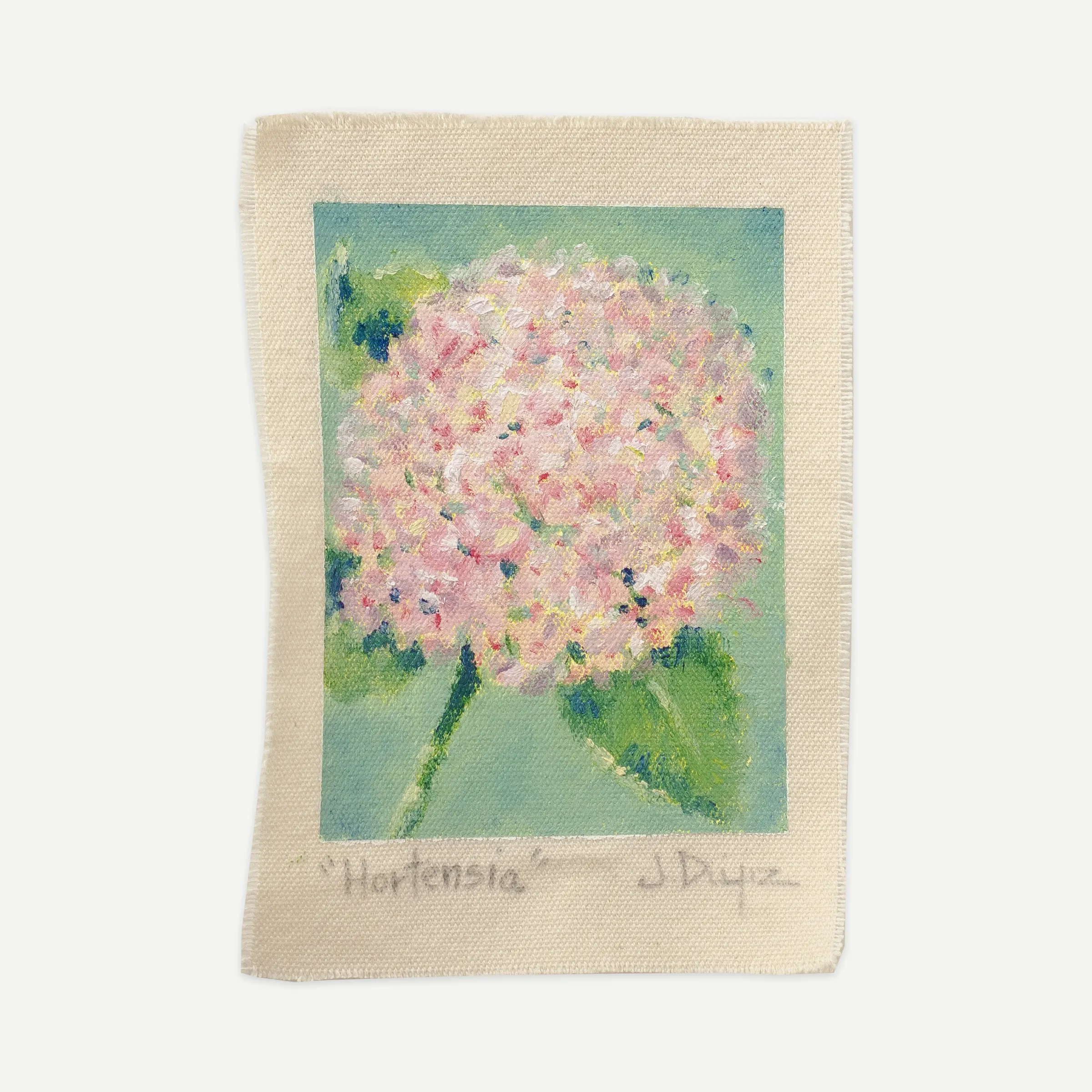 Hydrangea, Oil on cotton canvas, unstretched, 13 × 18 cm, photograph 1