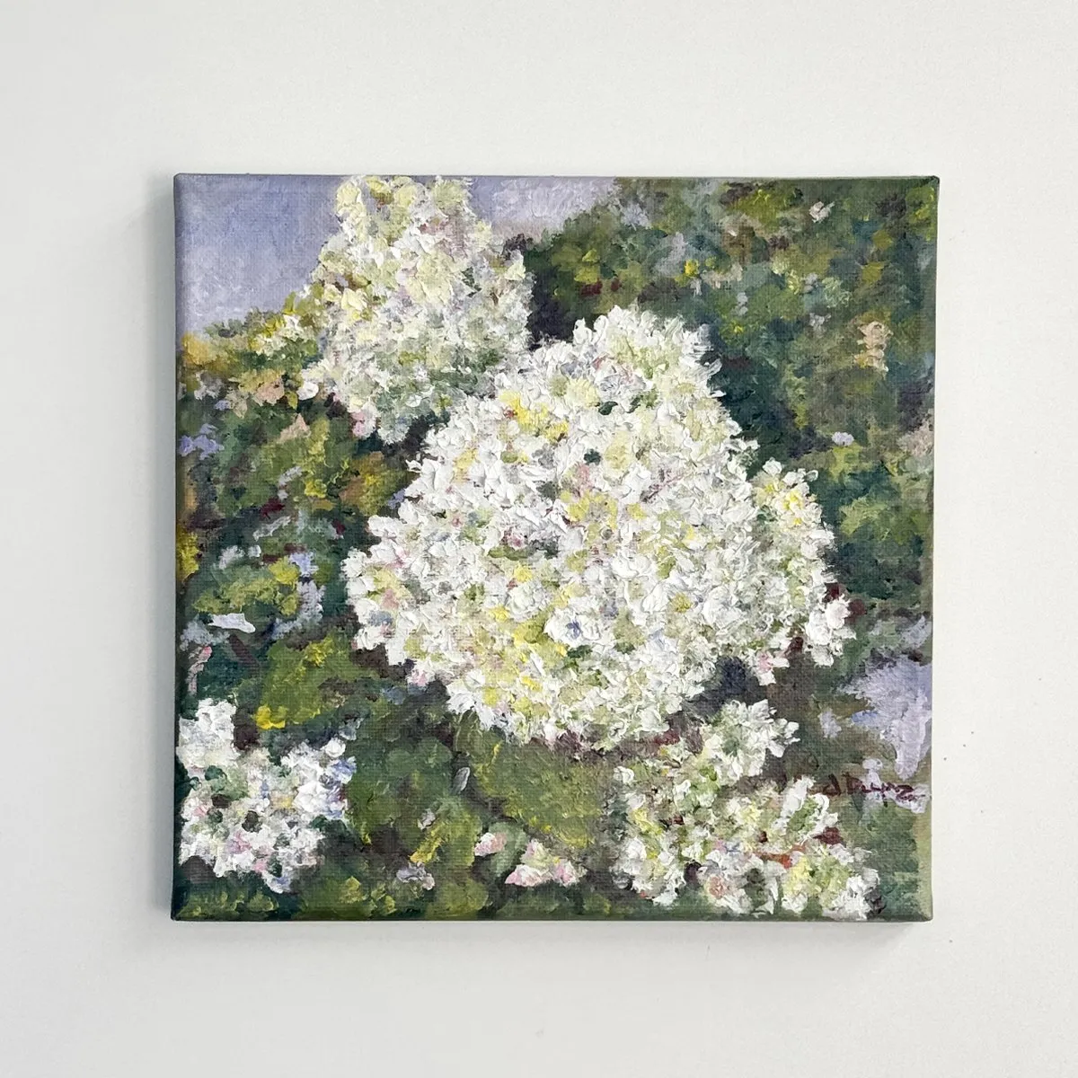 Hydrangea Paniculata, Oil on canvas — photograph 1