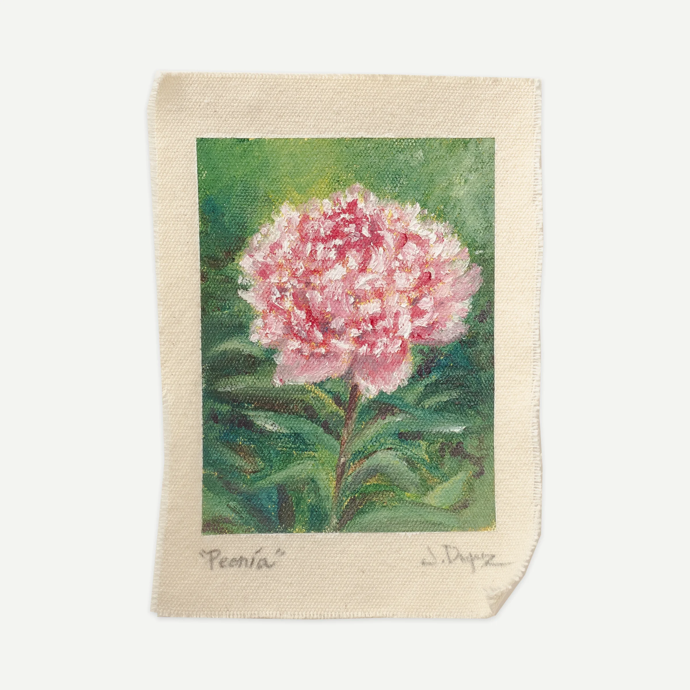 Peony, Oil on cotton canvas, unstretched, 13 × 18 cm, photograph 1