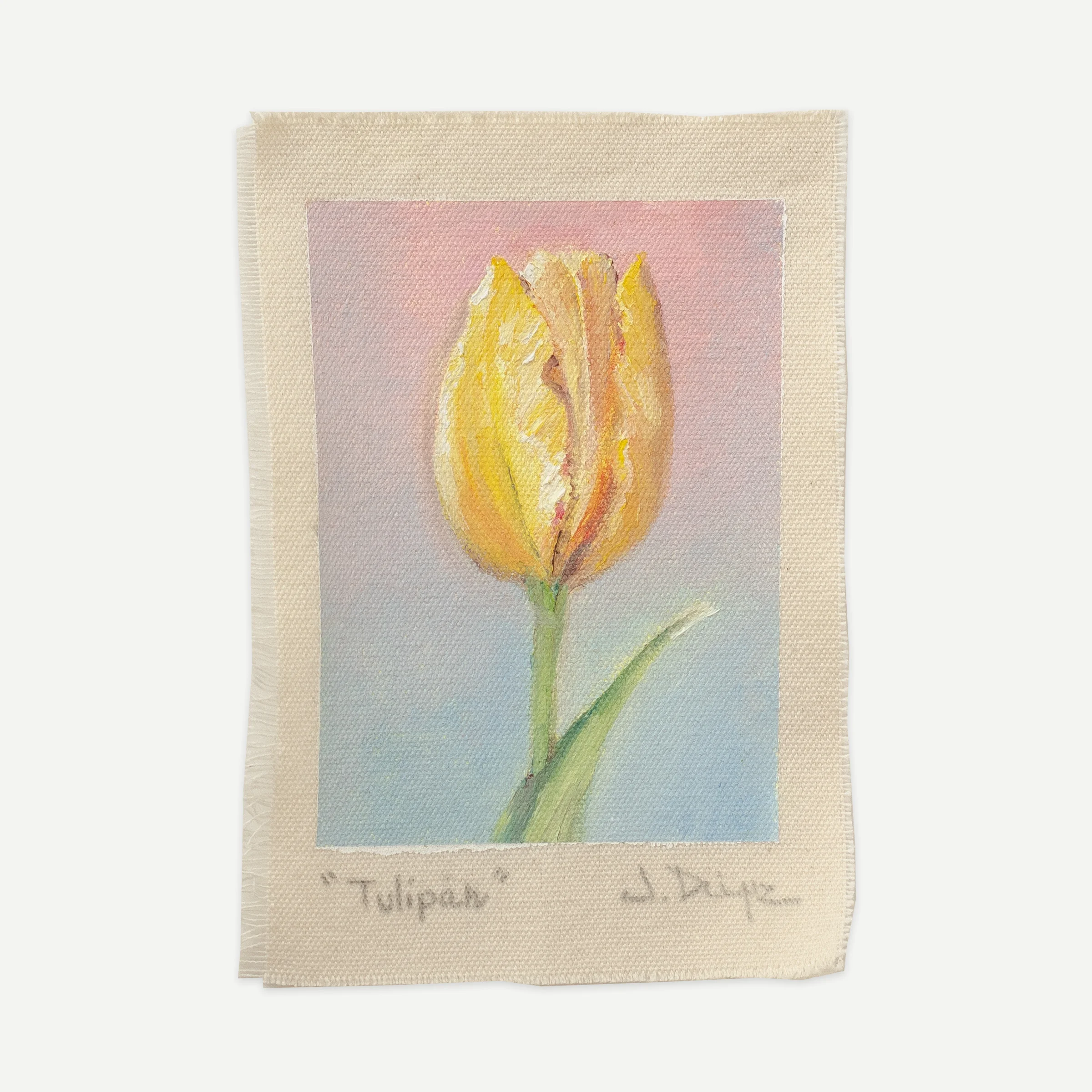 Tulip, Oil on cotton canvas, unstretched, 13 × 18 cm, photograph 1