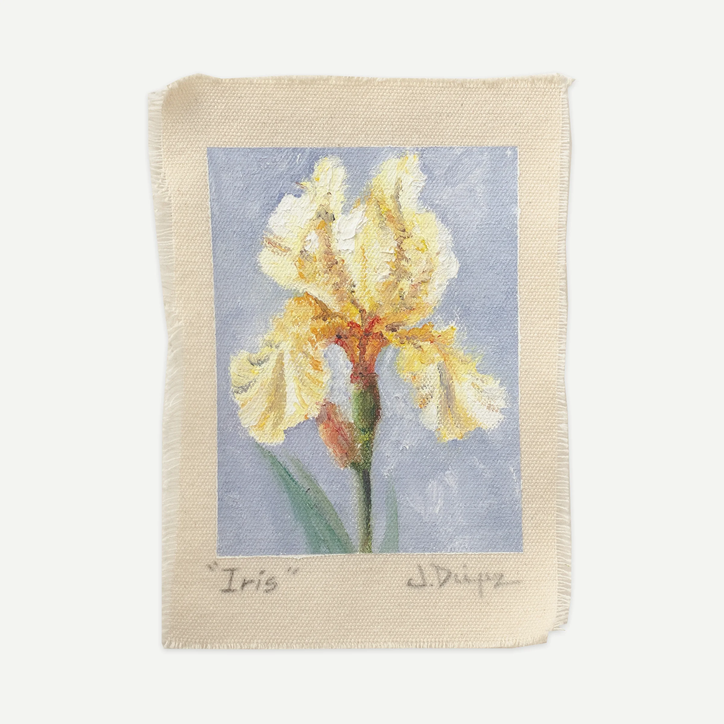 Iris, Oil on cotton canvas, unstretched, 13 × 18 cm, photograph 1