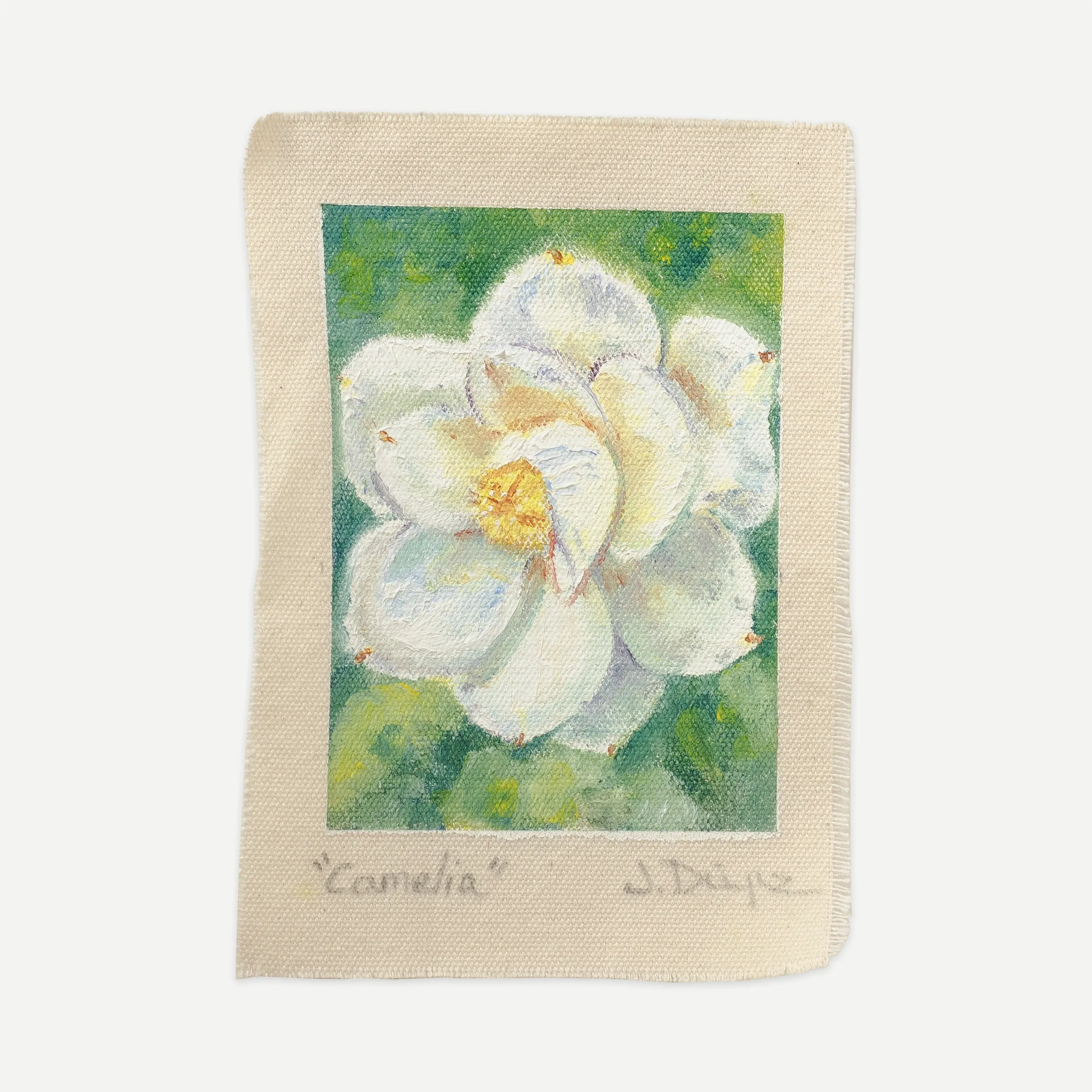 Camelia, Óleo sobre tela de algodón, sin bastidor, 13 × 18 cm, fotografía 1
