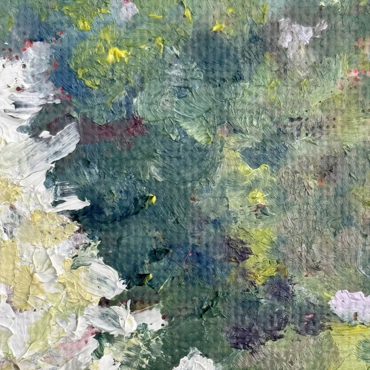Hydrangea Paniculata, Oil on canvas — photograph 2