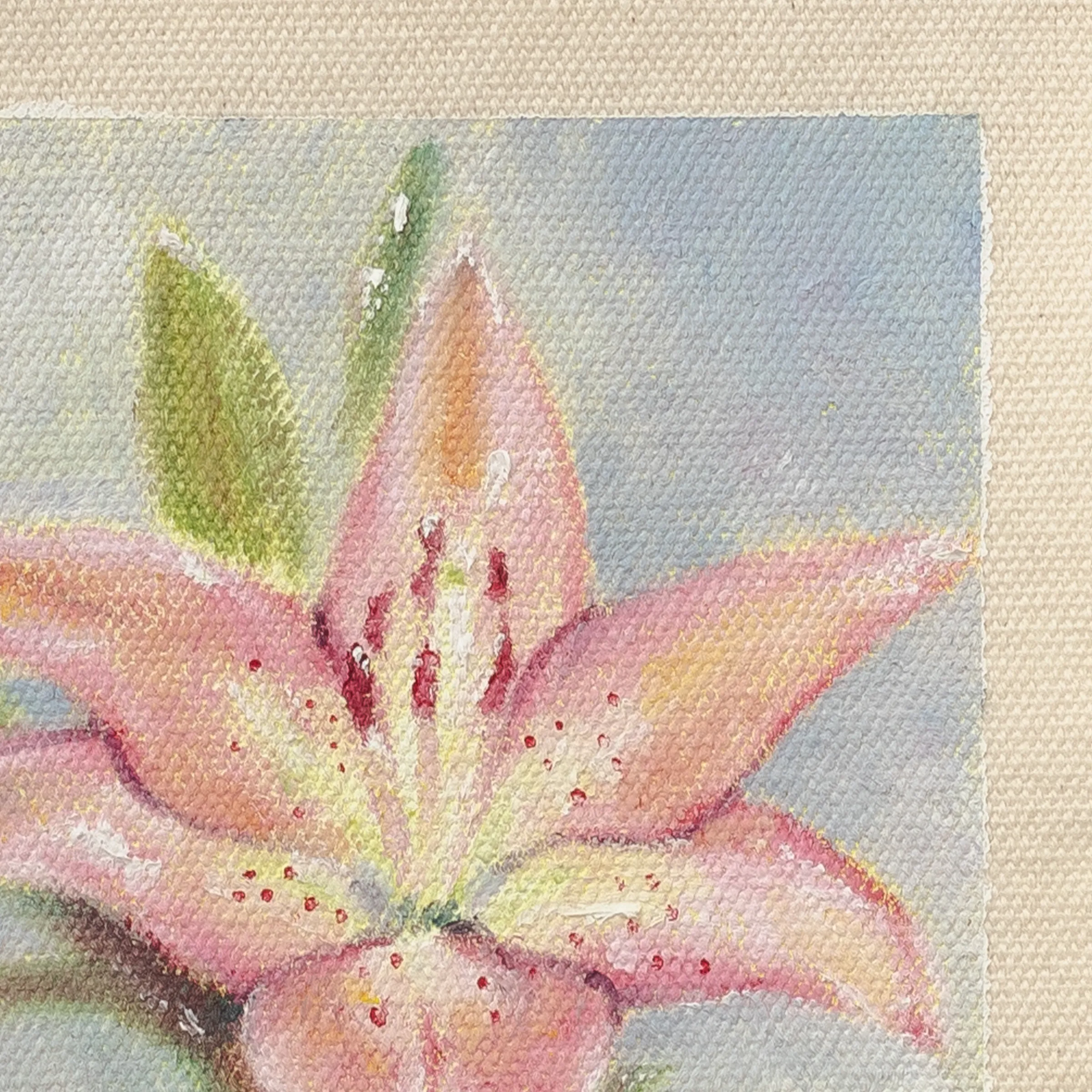 Lily, Oil on cotton canvas, unstretched, 13 × 18 cm, photograph 3