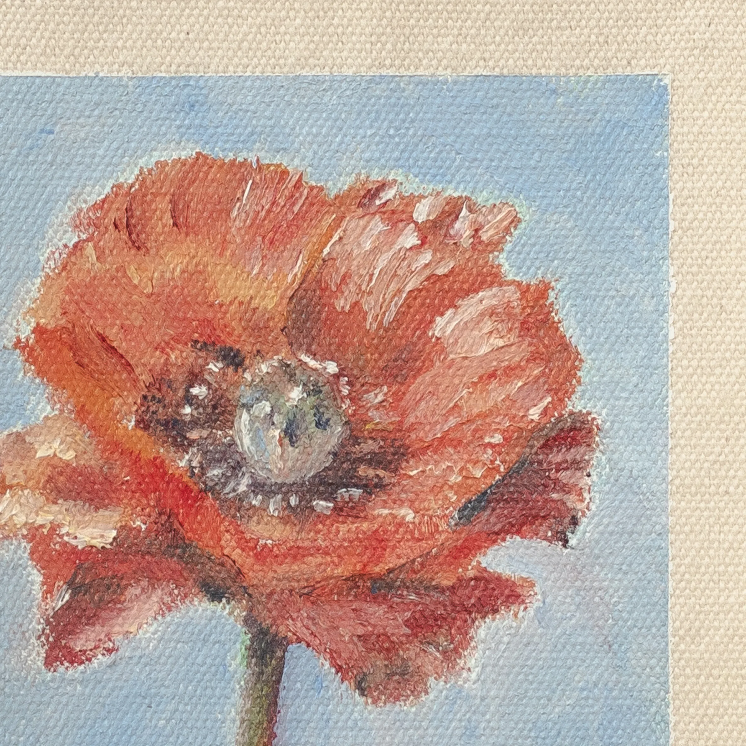 Poppy, Oil on cotton canvas, unstretched, 13 × 18 cm, photograph 3