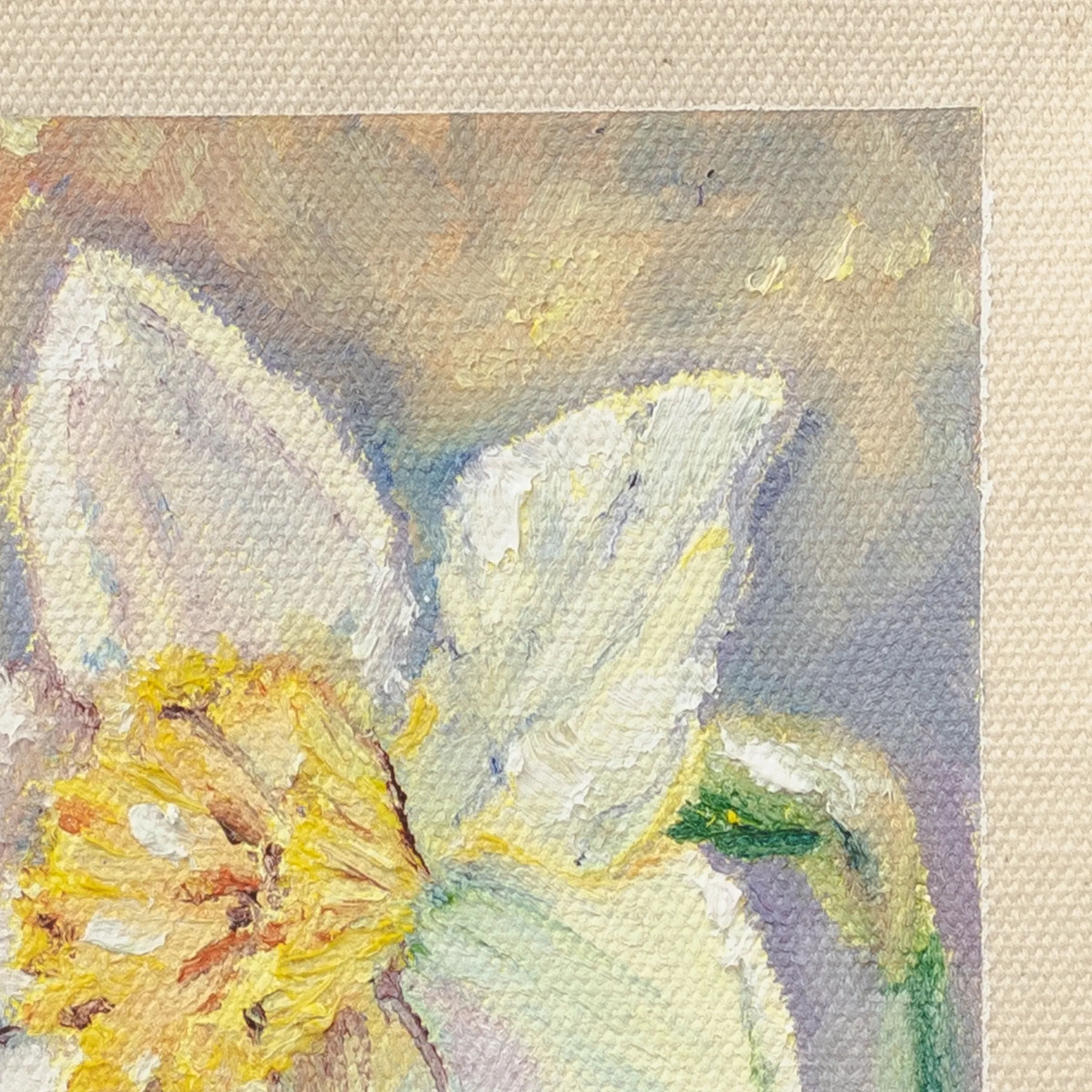 Daffodil, Oil on cotton canvas, unstretched, 13 × 18 cm, photograph 3