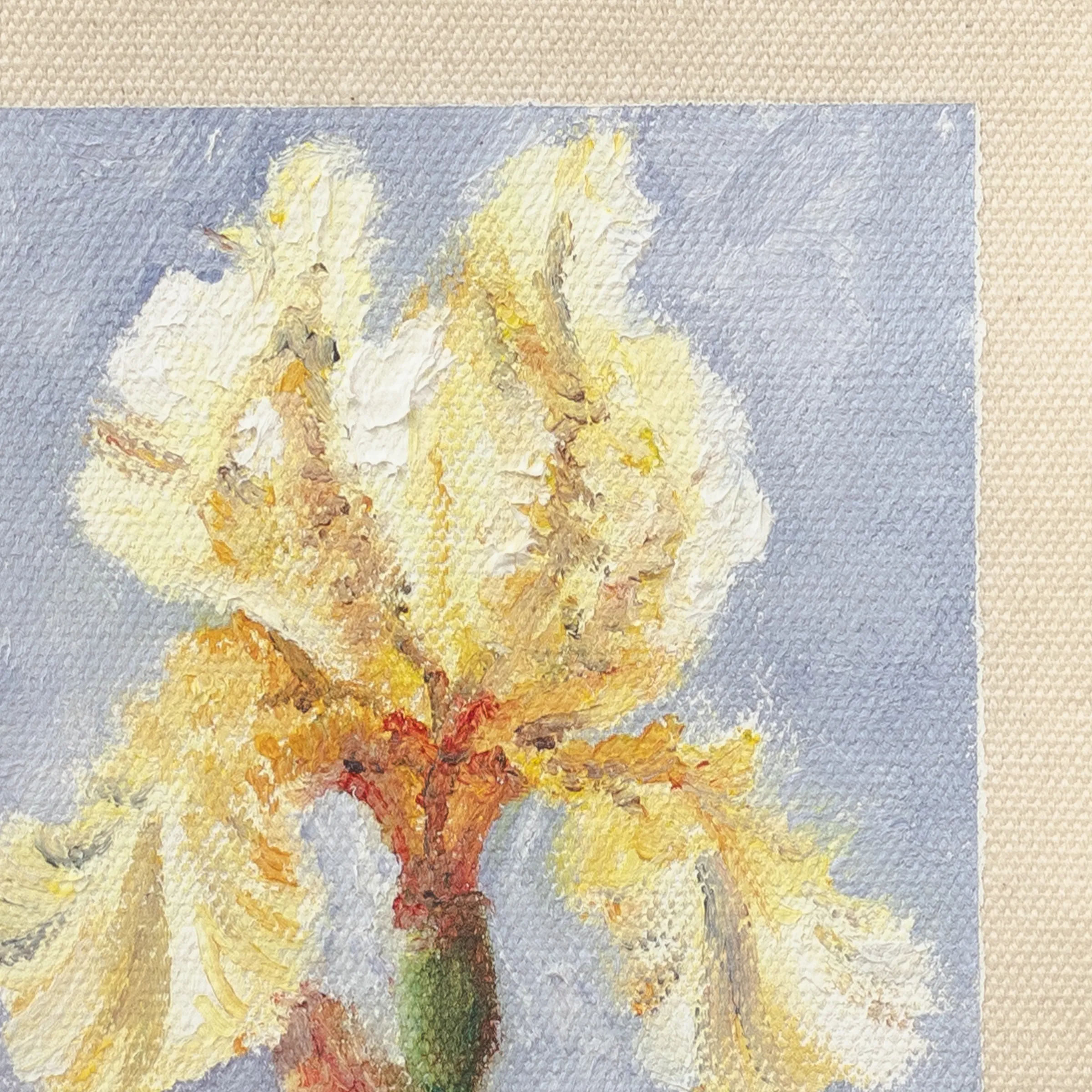 Iris, Óleo sobre tela de algodón, sin bastidor, 13 × 18 cm, fotografía 3
