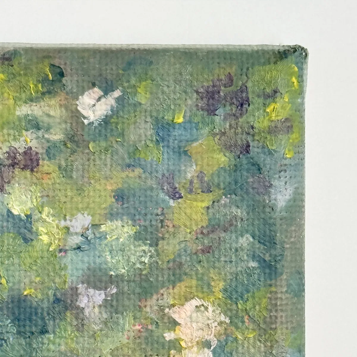 Hydrangea Paniculata, Oil on canvas — photograph 3