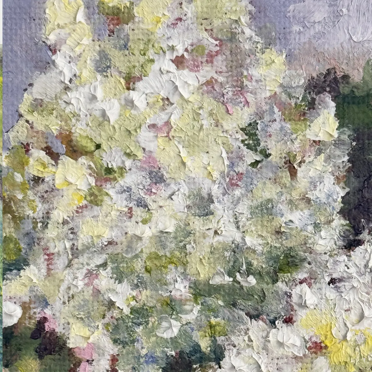 Hydrangea Paniculata, Oil on canvas — photograph 4
