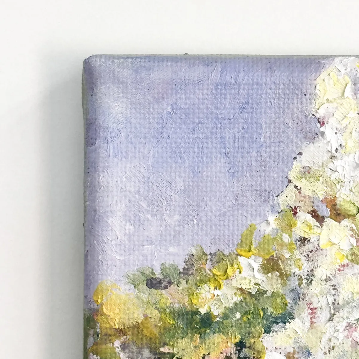 Hydrangea Paniculata, Oil on canvas — photograph 5