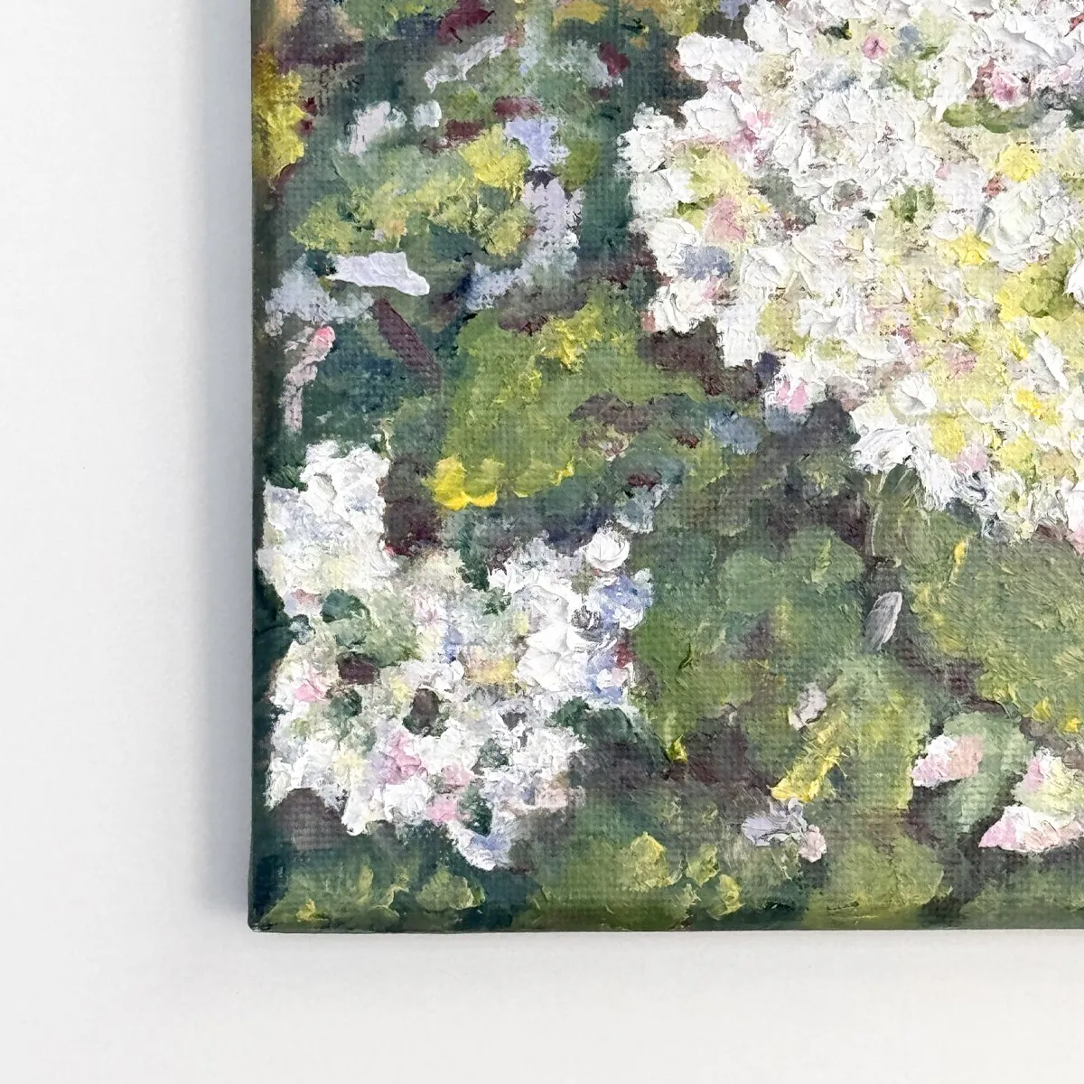 Hydrangea Paniculata, Oil on canvas — photograph 7