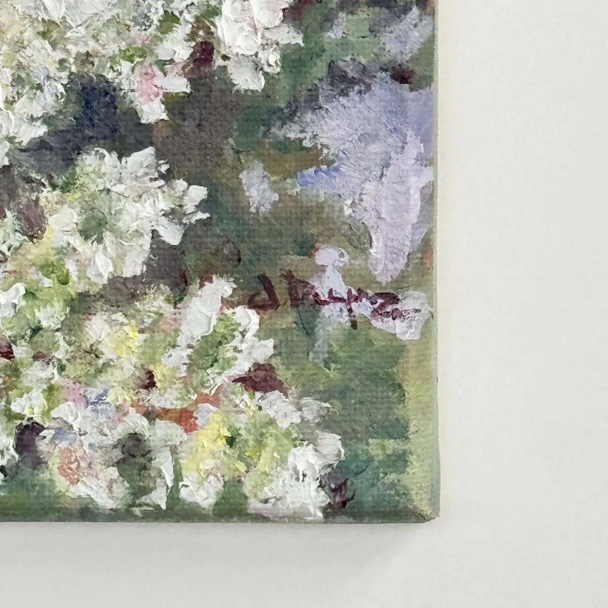 Hydrangea Paniculata, Oil on canvas — photograph 8
